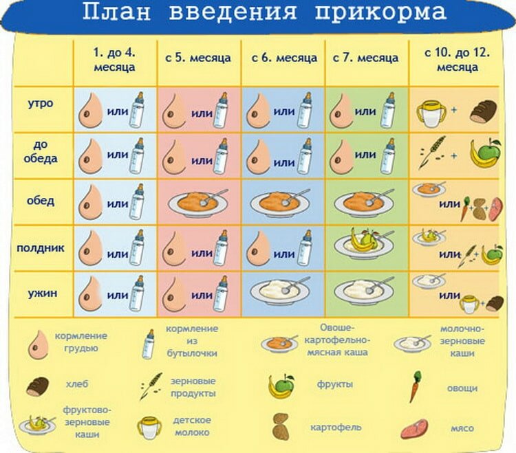 Как правильно вводить прикорм?