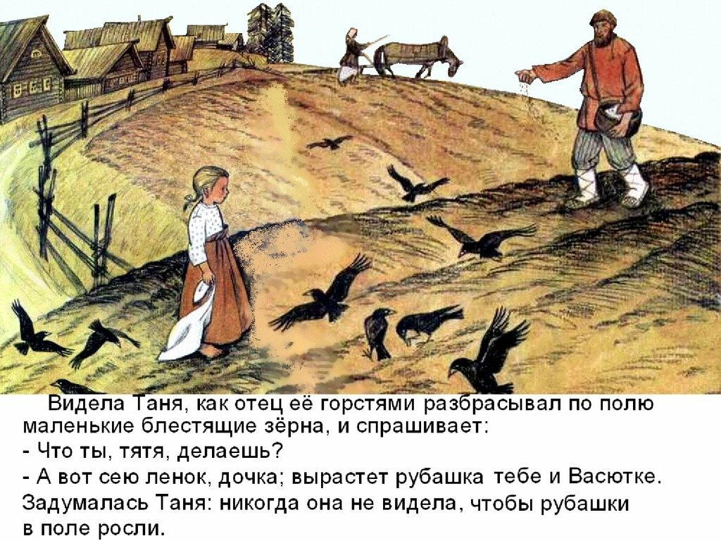 Как под городом Шильдой соль в поле выросла и как шильдбюргеры пытались её жать